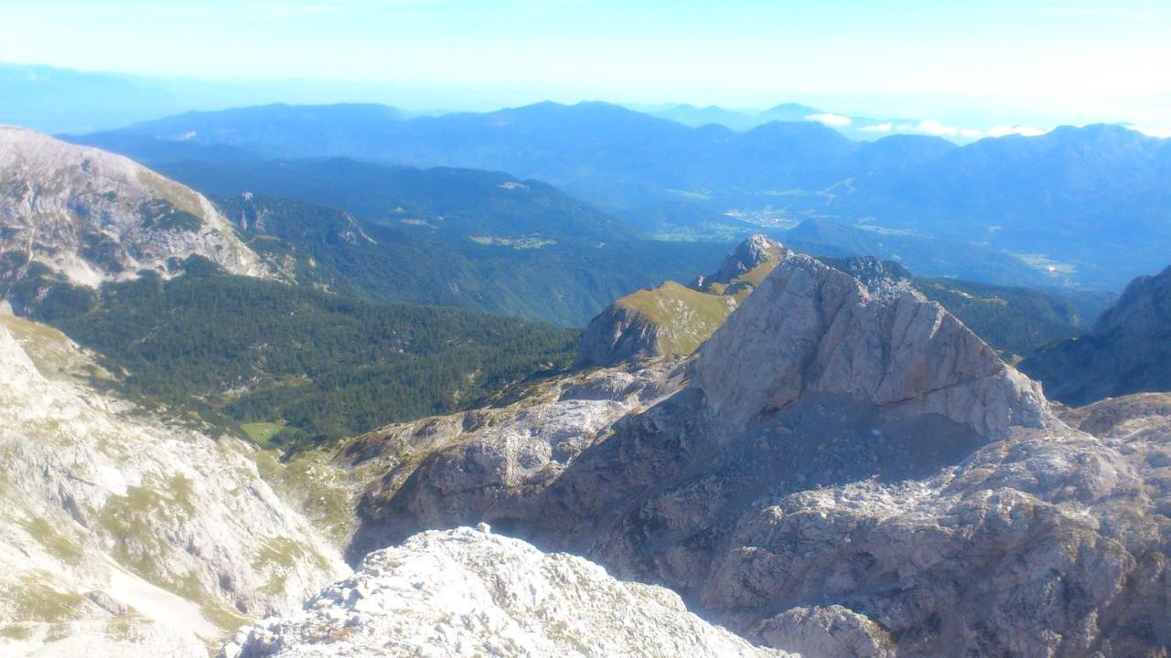 Planinska Hisica Pod Macesni - Bohinj Villa Srednja Vas v Bohinju Eksteriør billede