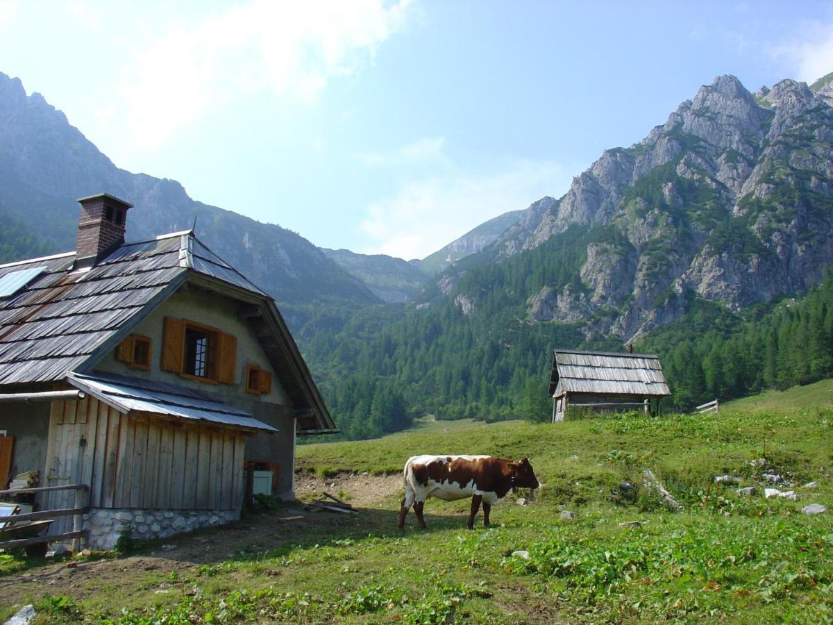 Planinska Hisica Pod Macesni - Bohinj Villa Srednja Vas v Bohinju Eksteriør billede